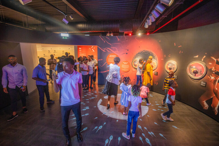 aeba5d65-9f8f-bbc3-43ba-0f16aa265cdc